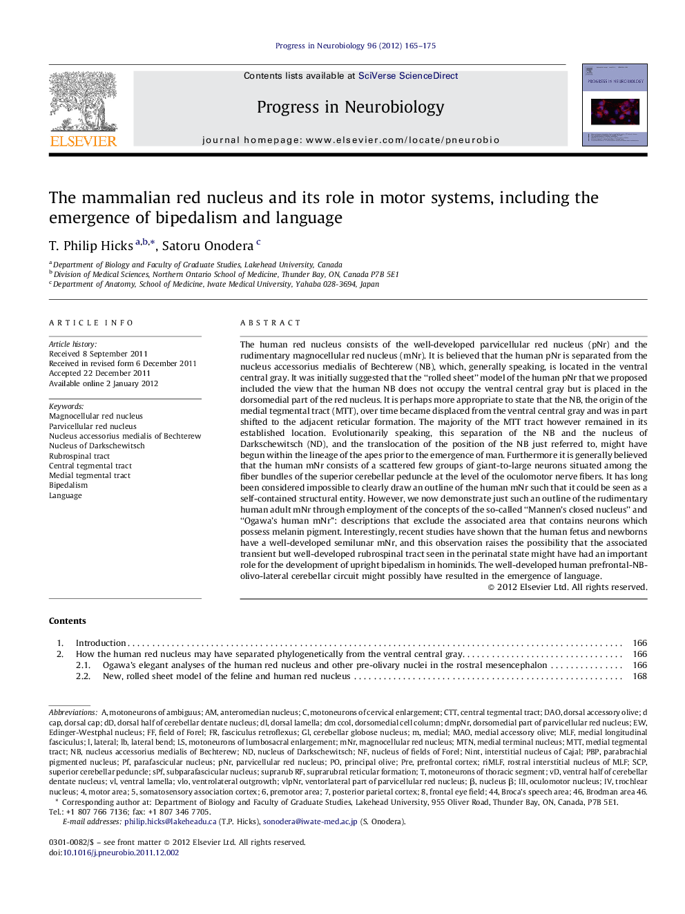 The mammalian red nucleus and its role in motor systems, including the emergence of bipedalism and language