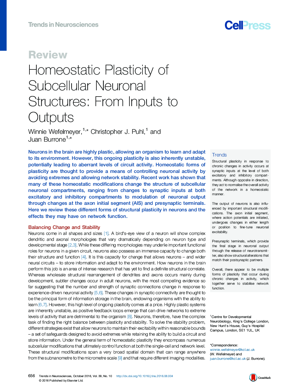 Homeostatic Plasticity of Subcellular Neuronal Structures: From Inputs to Outputs
