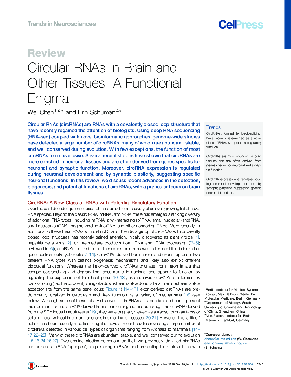 Circular RNAs in Brain and Other Tissues: A Functional Enigma