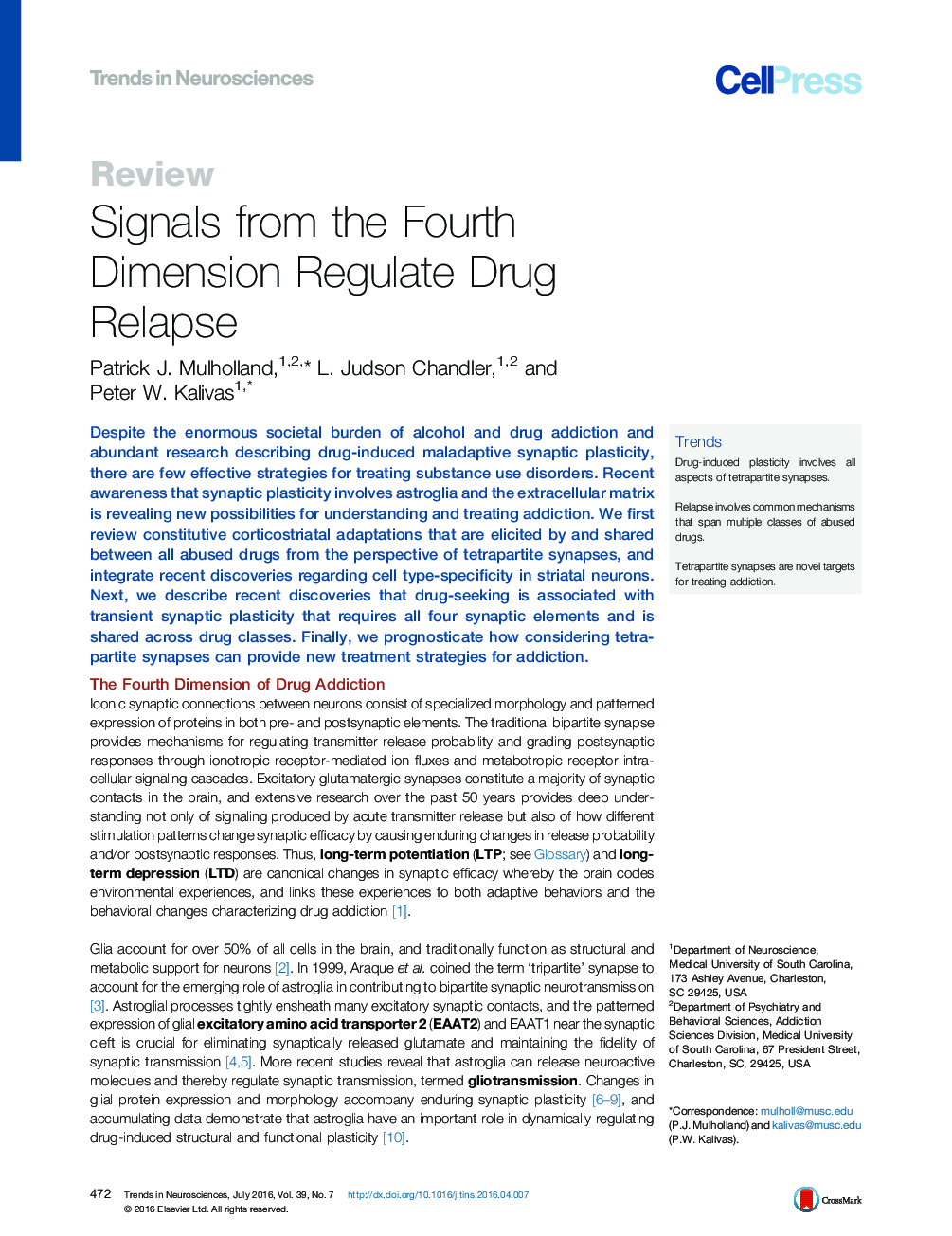 Signals from the Fourth Dimension Regulate Drug Relapse