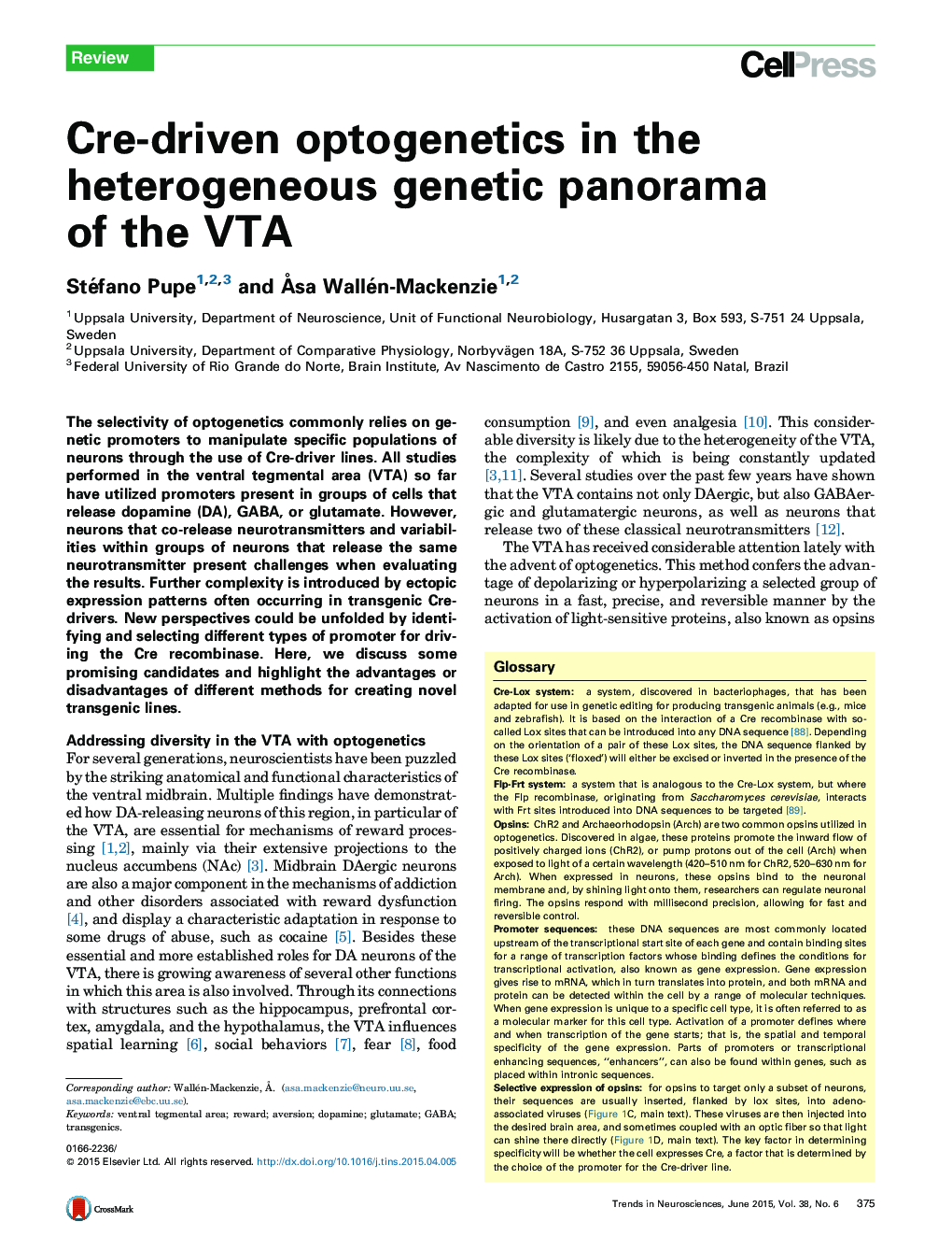 Cre-driven optogenetics in the heterogeneous genetic panorama of the VTA