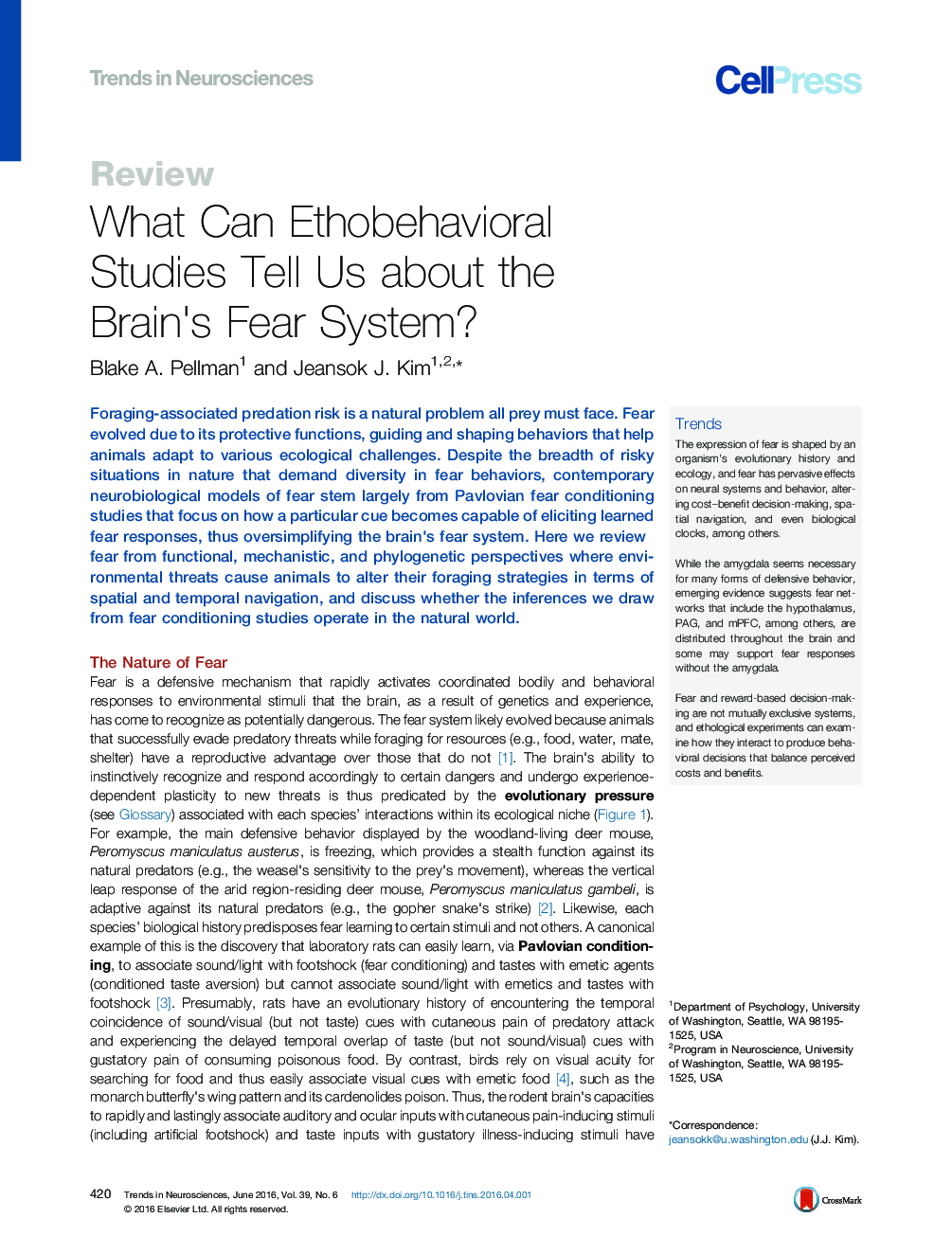 What Can Ethobehavioral Studies Tell Us about the Brain's Fear System?