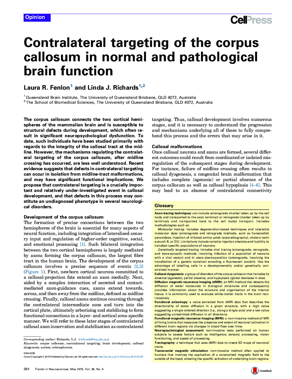 Contralateral targeting of the corpus callosum in normal and pathological brain function