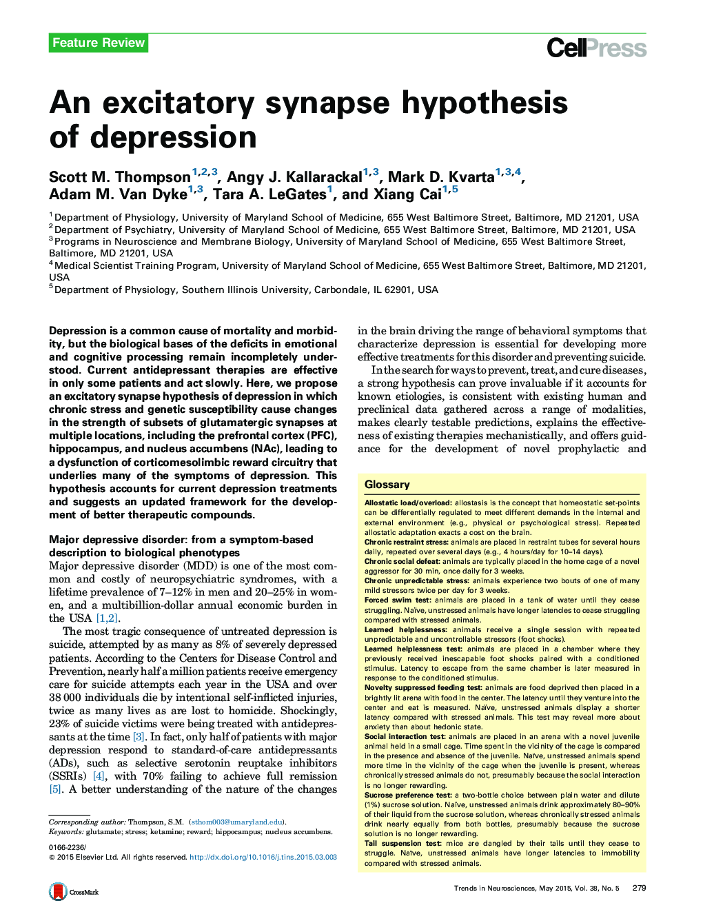 An excitatory synapse hypothesis of depression