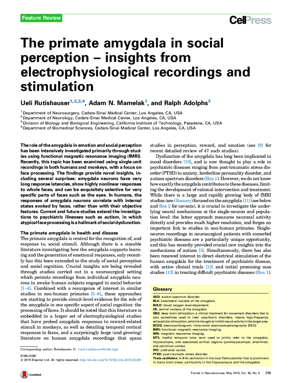 The primate amygdala in social perception – insights from electrophysiological recordings and stimulation