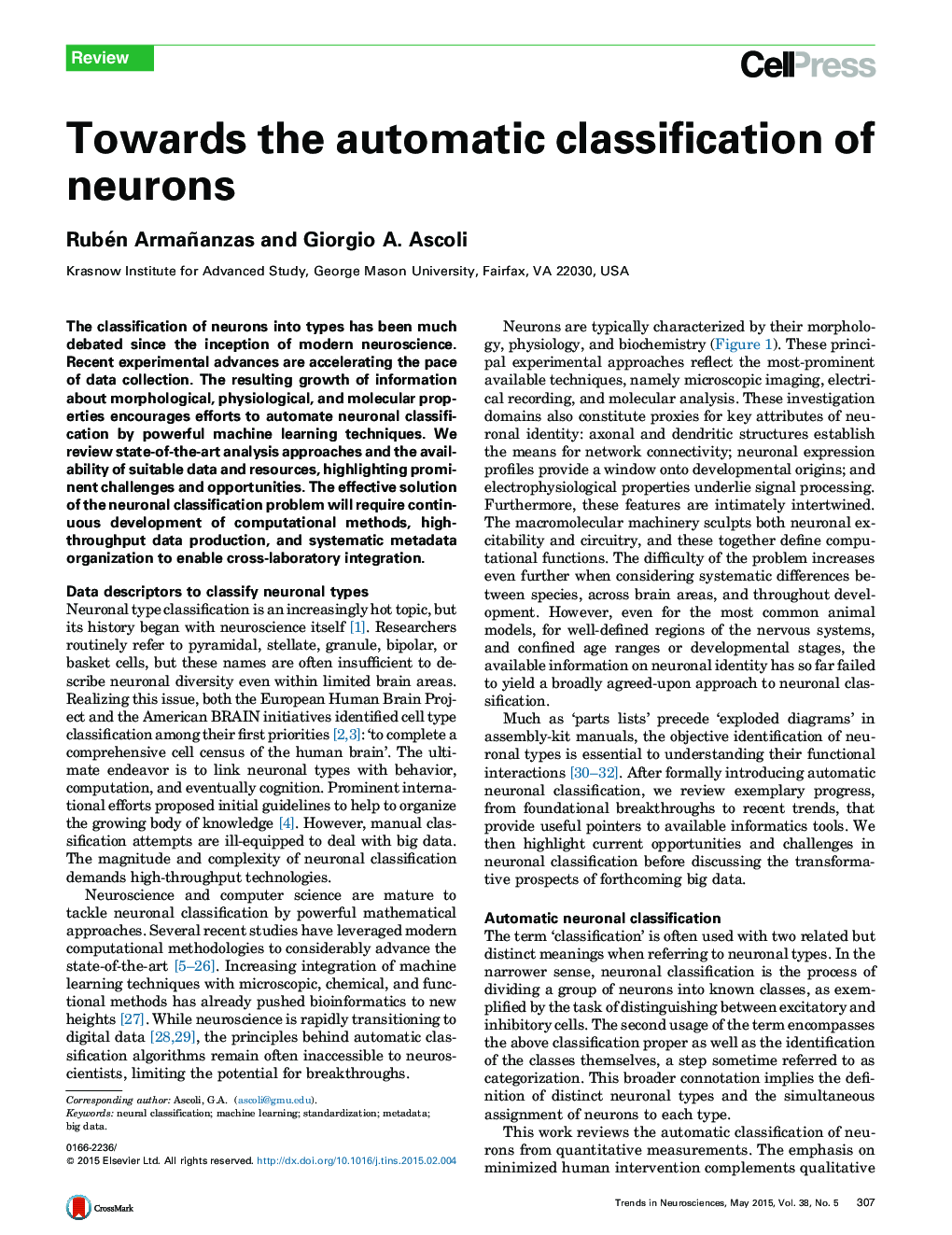 Towards the automatic classification of neurons