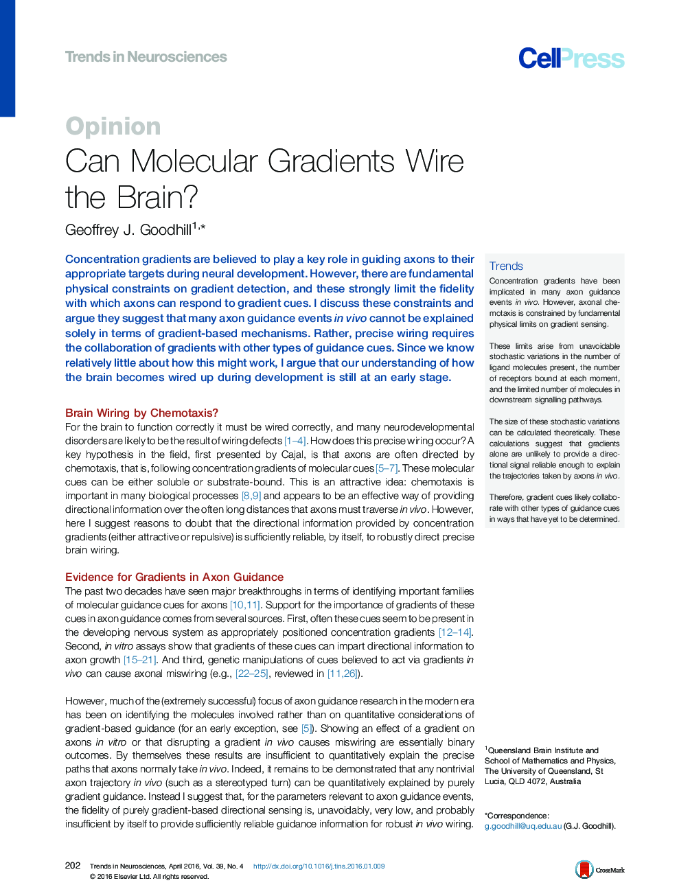 Can Molecular Gradients Wire the Brain?