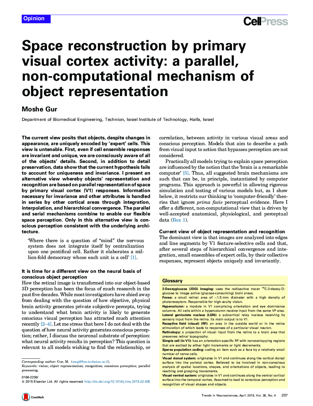 Space reconstruction by primary visual cortex activity: a parallel, non-computational mechanism of object representation