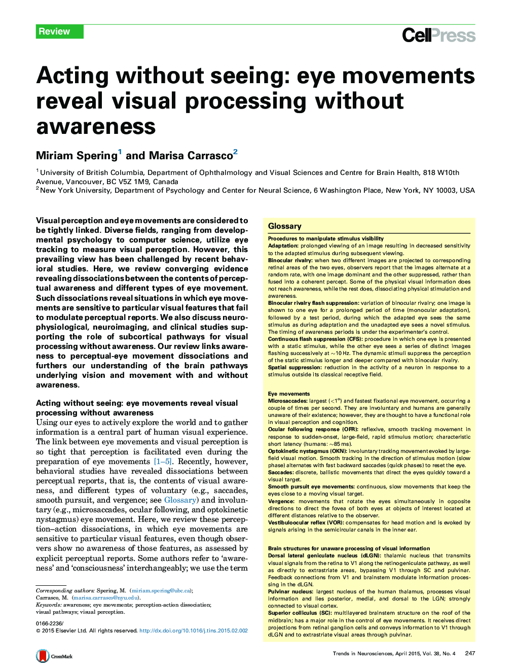 Acting without seeing: eye movements reveal visual processing without awareness