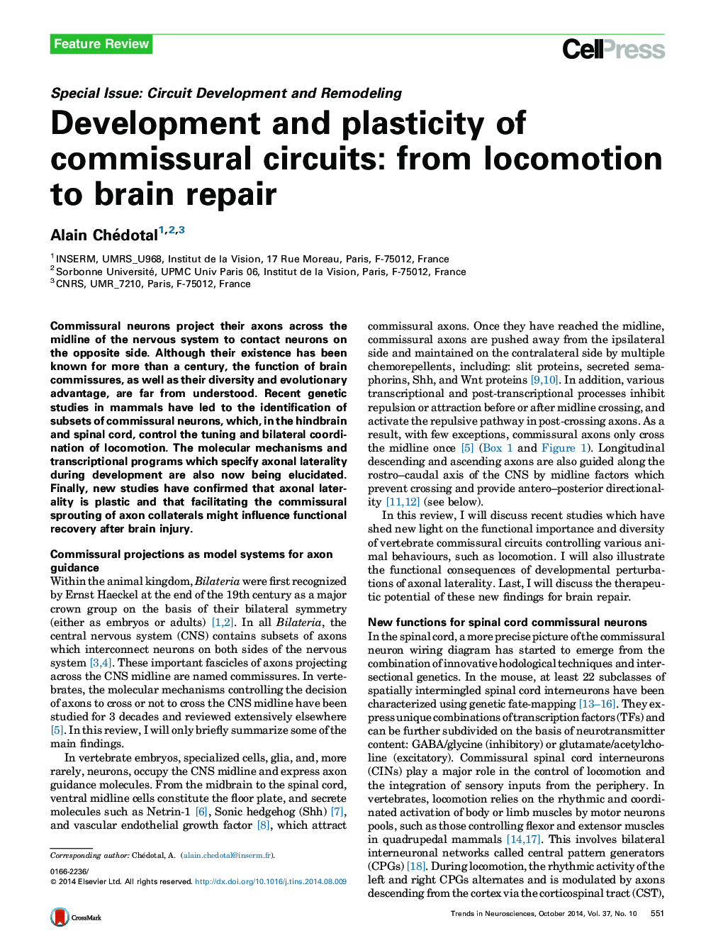 Development and plasticity of commissural circuits: from locomotion to brain repair