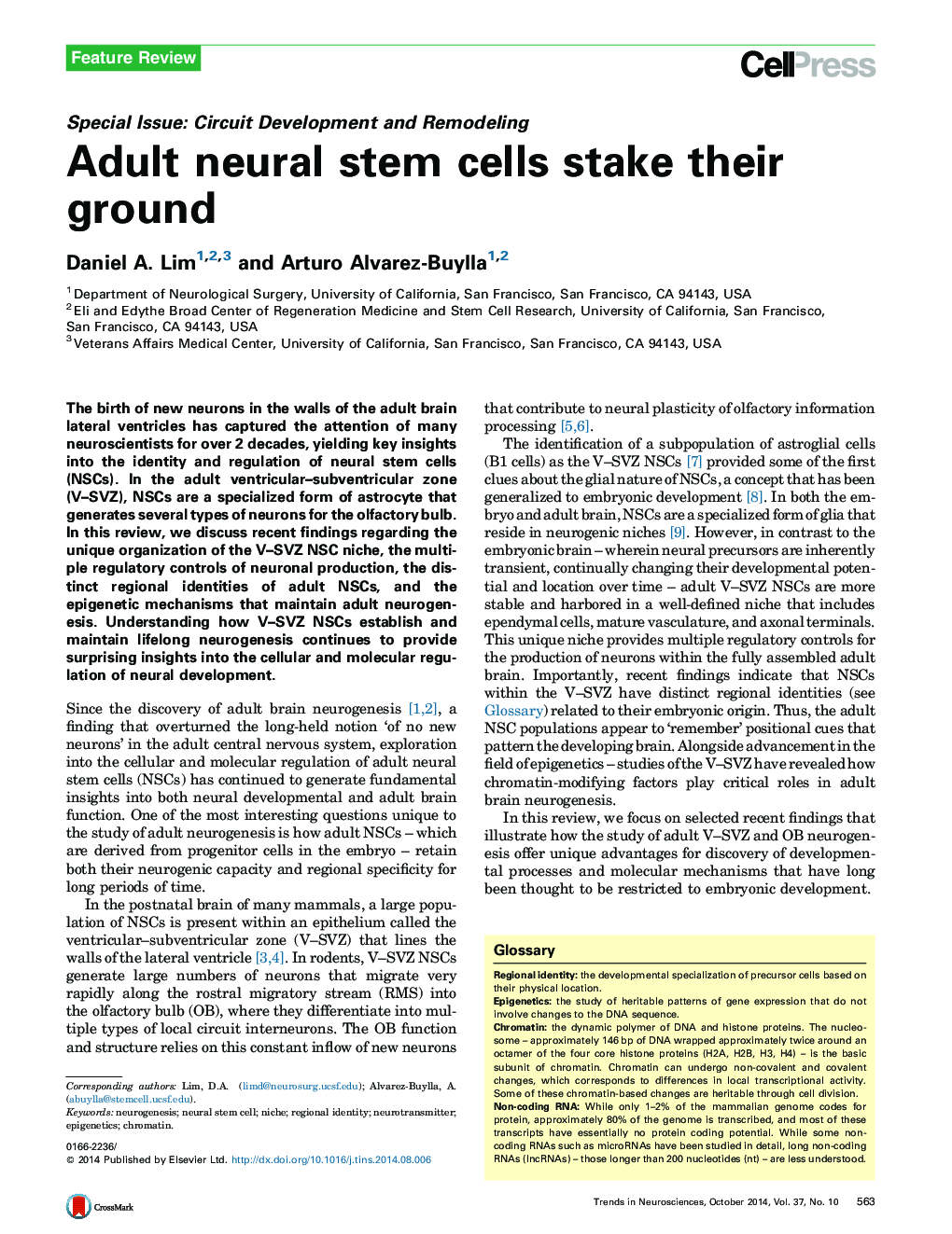 Adult neural stem cells stake their ground