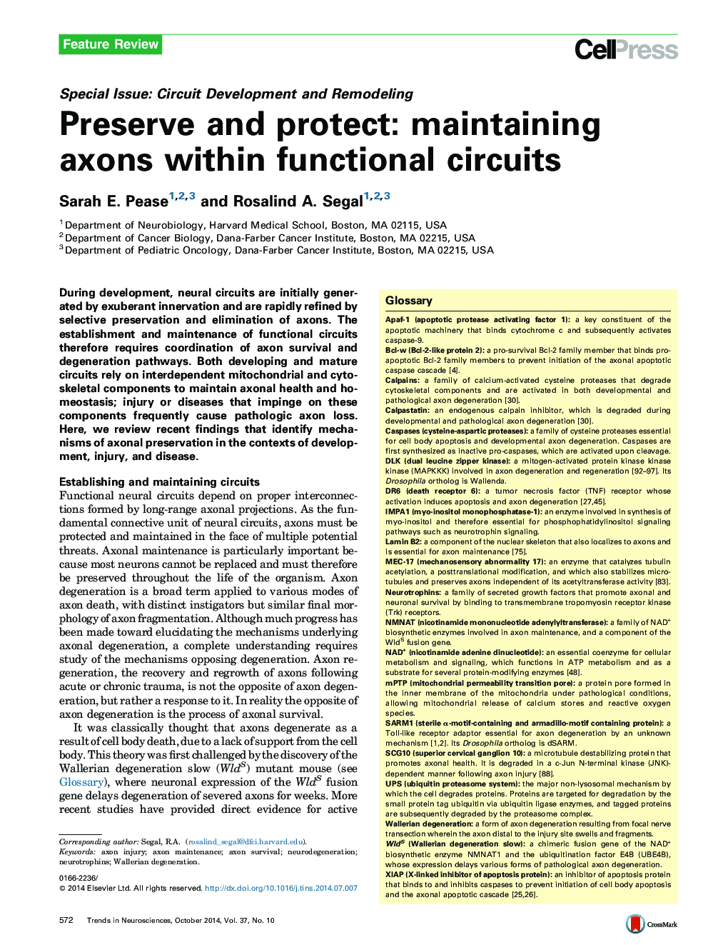 Preserve and protect: maintaining axons within functional circuits