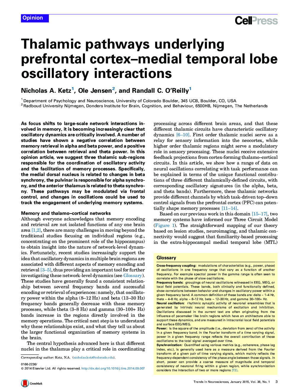Thalamic pathways underlying prefrontal cortex–medial temporal lobe oscillatory interactions