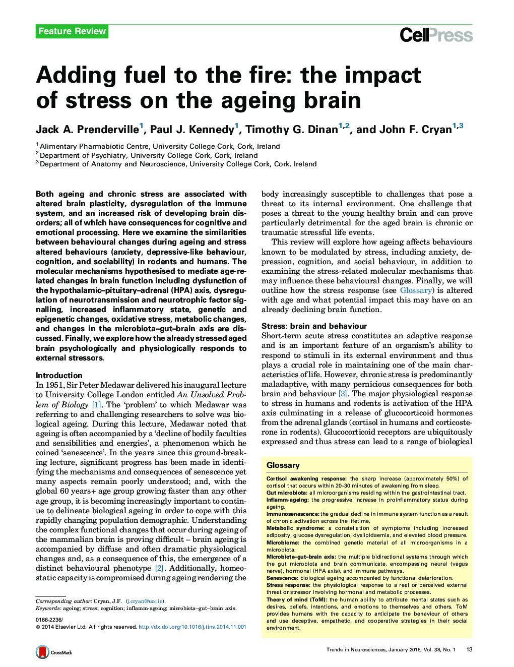 Adding fuel to the fire: the impact of stress on the ageing brain