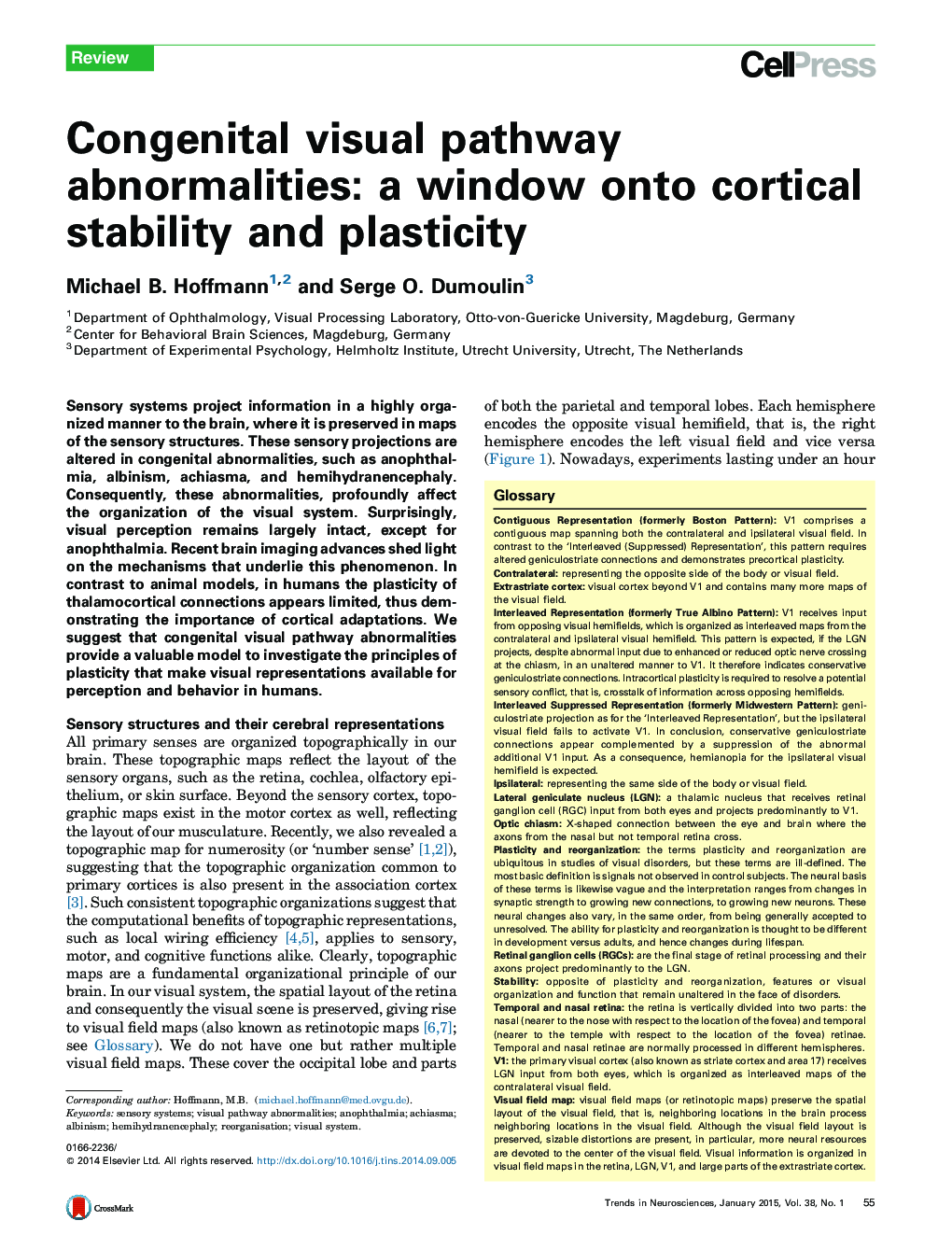 Congenital visual pathway abnormalities: a window onto cortical stability and plasticity