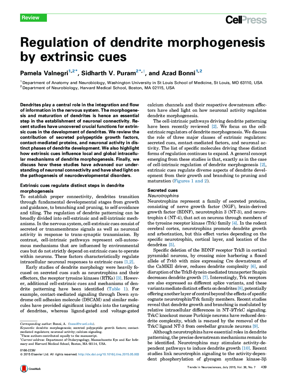 Regulation of dendrite morphogenesis by extrinsic cues