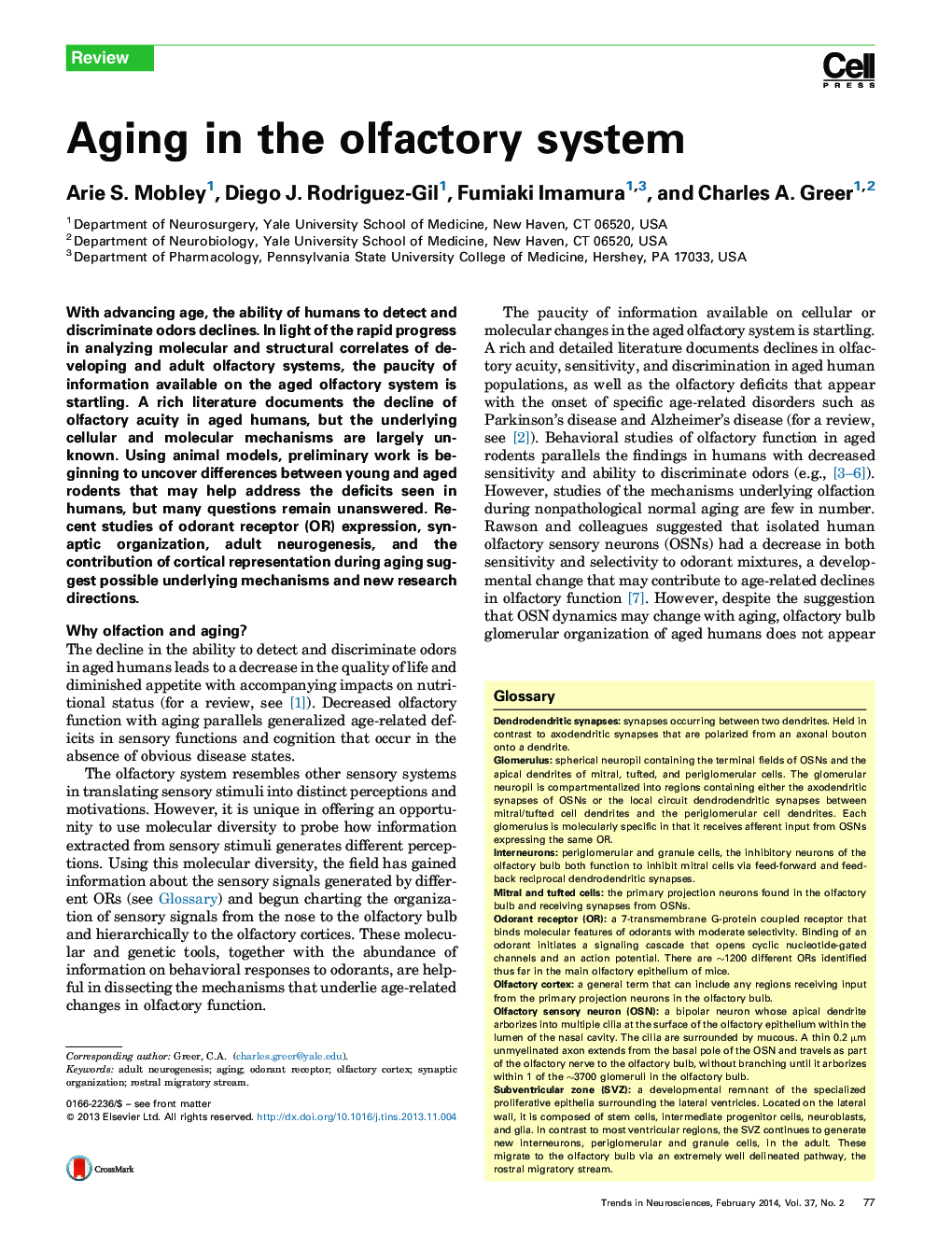 Aging in the olfactory system