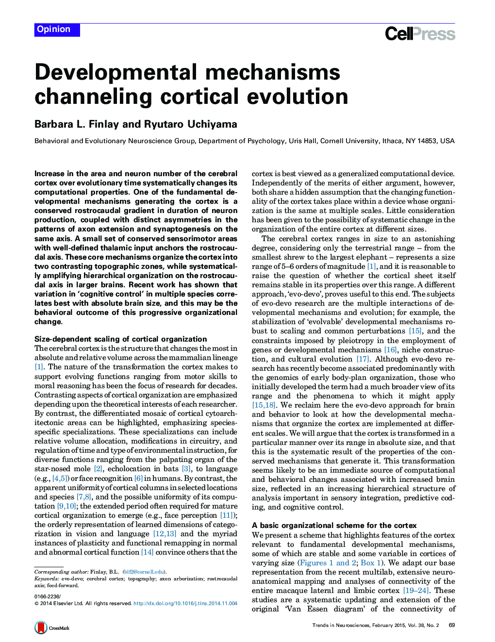 Developmental mechanisms channeling cortical evolution