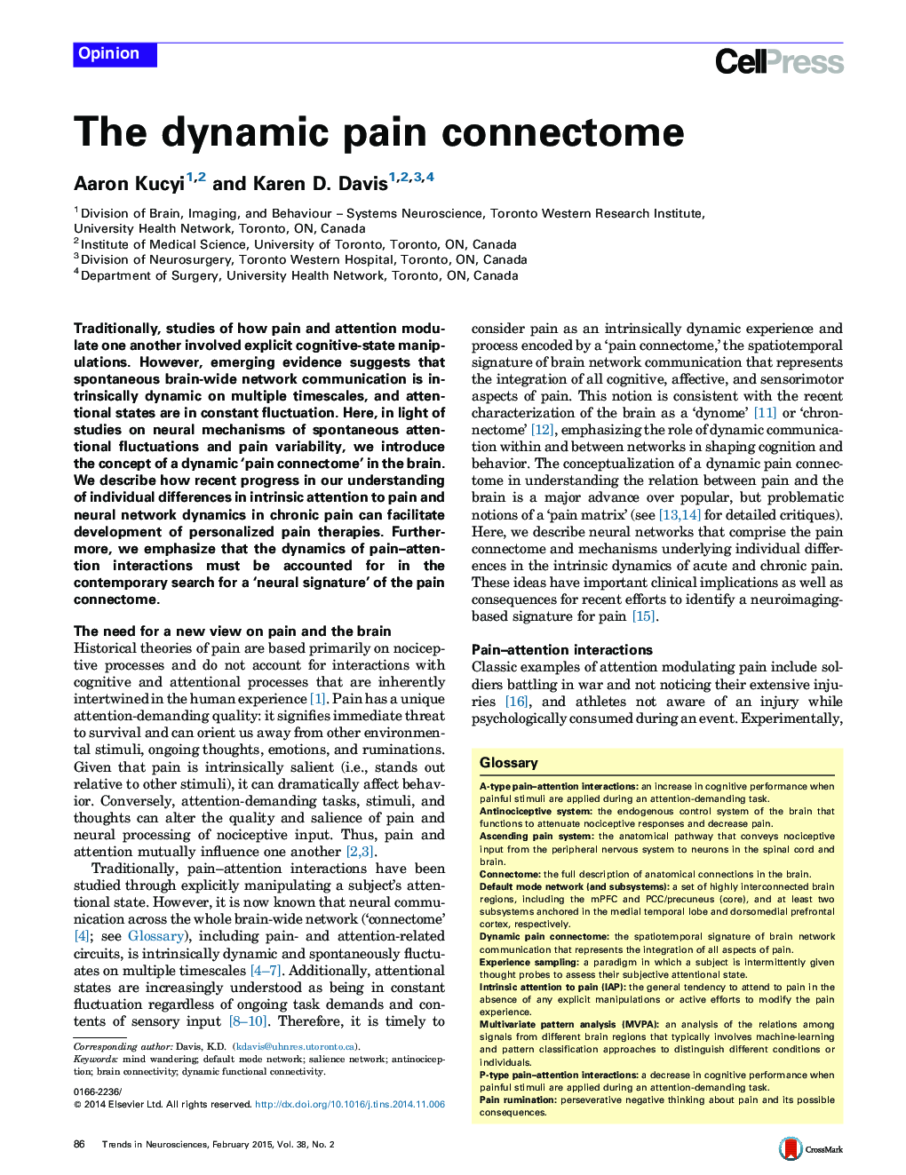 The dynamic pain connectome