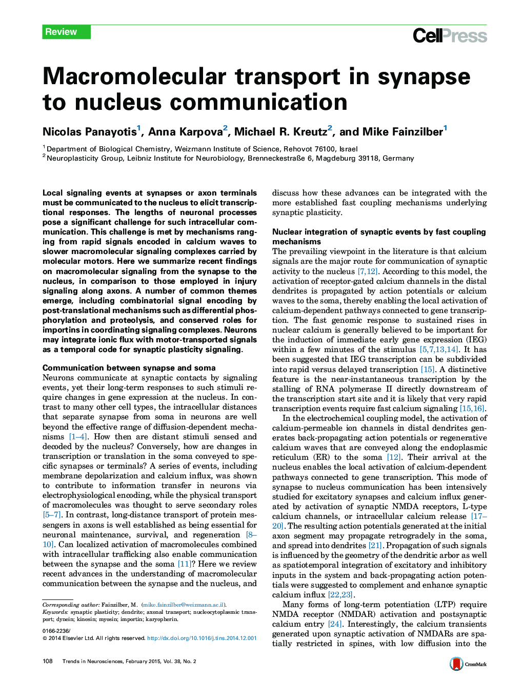 Macromolecular transport in synapse to nucleus communication