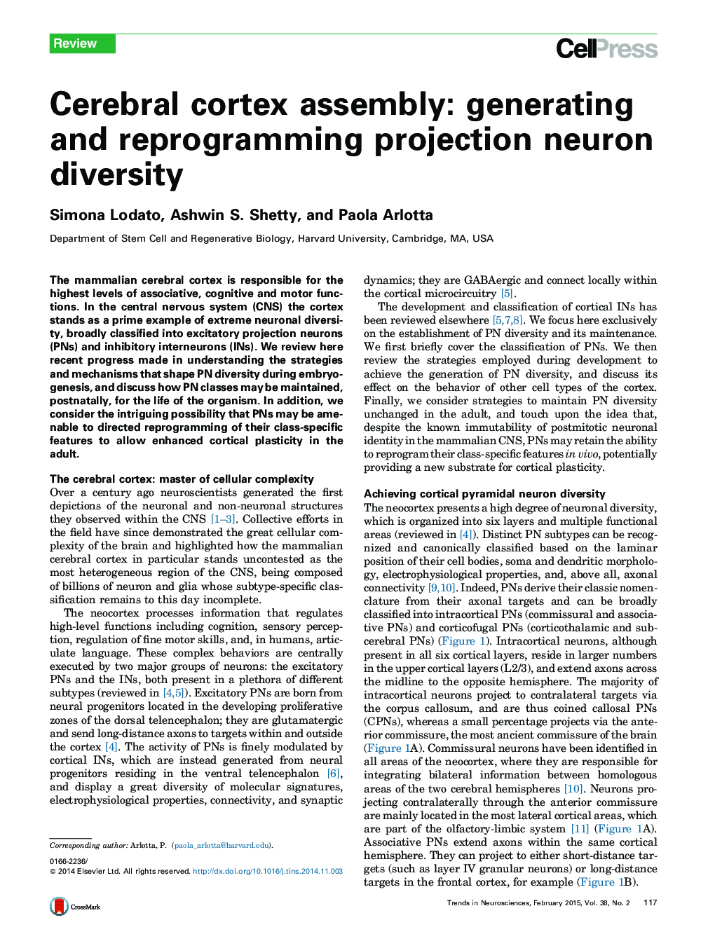 Cerebral cortex assembly: generating and reprogramming projection neuron diversity