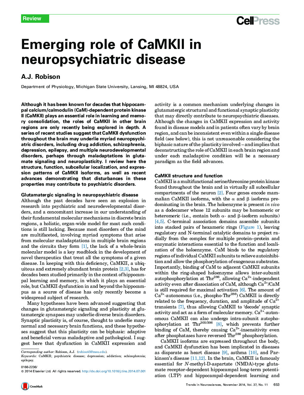 Emerging role of CaMKII in neuropsychiatric disease