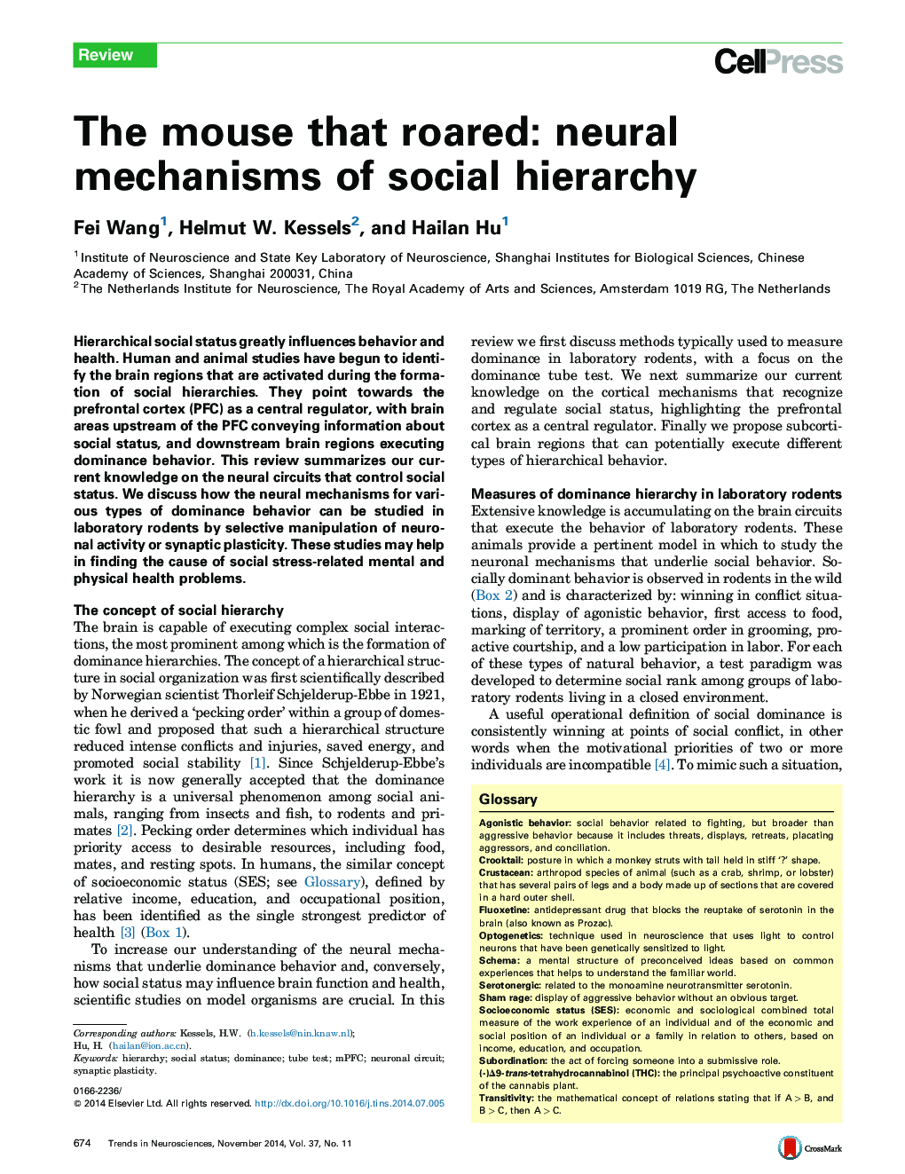 The mouse that roared: neural mechanisms of social hierarchy