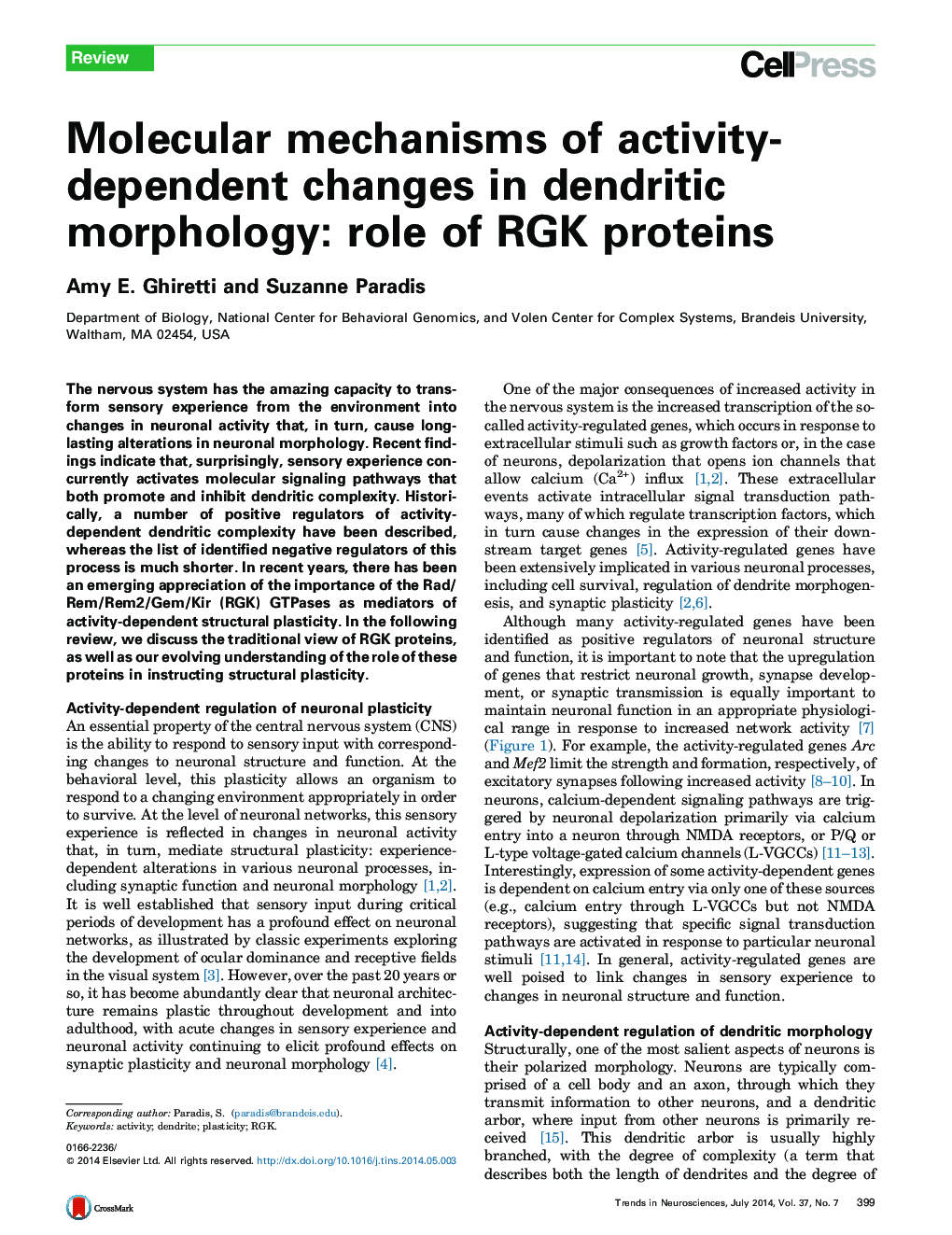 Molecular mechanisms of activity-dependent changes in dendritic morphology: role of RGK proteins