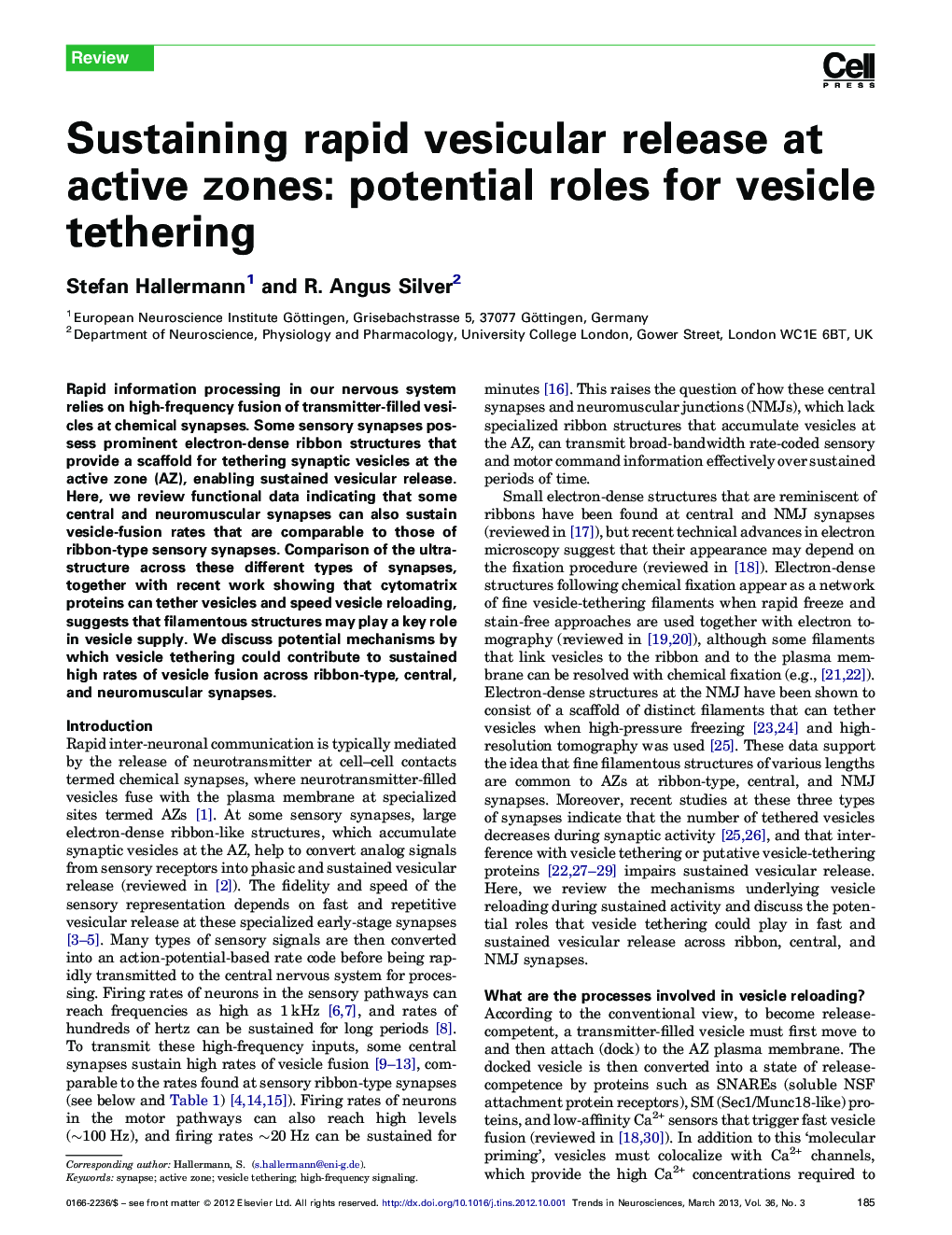 Sustaining rapid vesicular release at active zones: potential roles for vesicle tethering