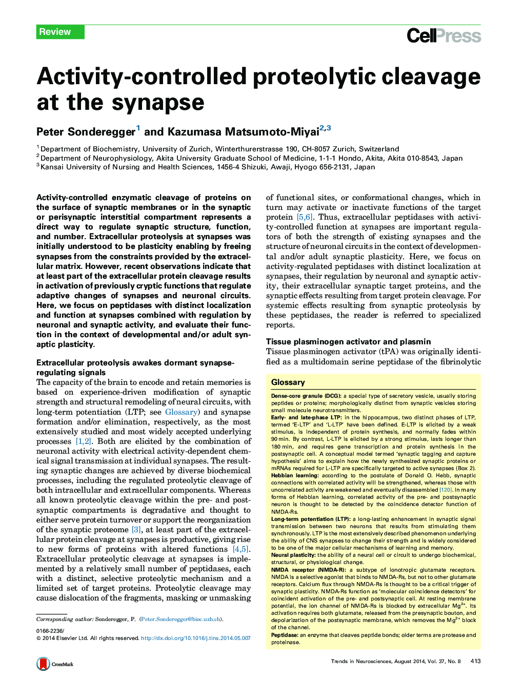 Activity-controlled proteolytic cleavage at the synapse