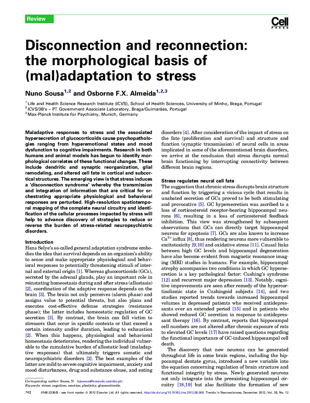 Disconnection and reconnection: the morphological basis of (mal)adaptation to stress