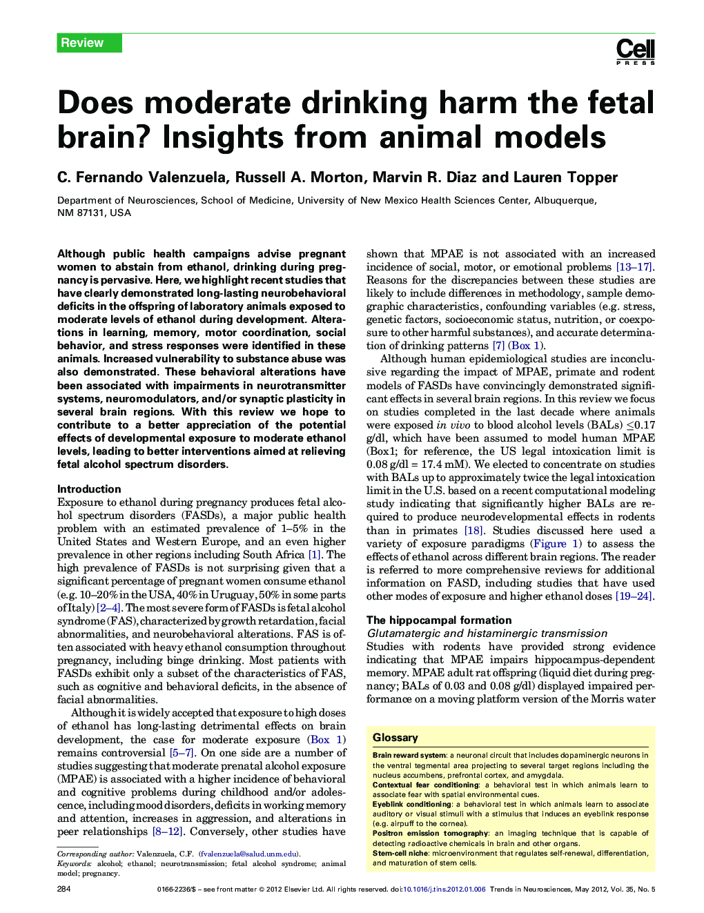 Does moderate drinking harm the fetal brain? Insights from animal models