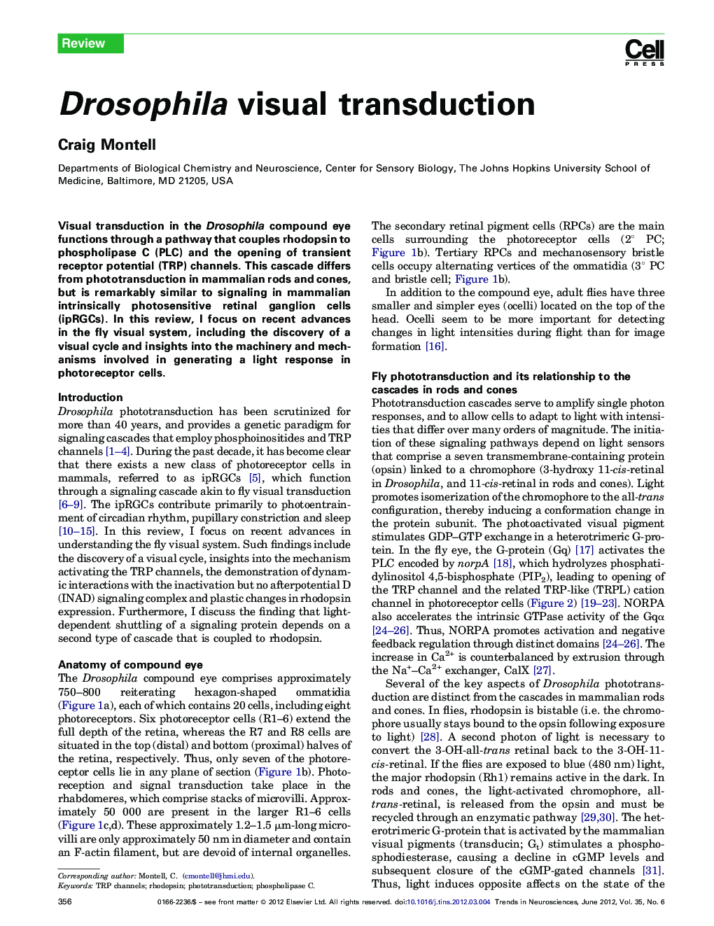 Drosophila visual transduction