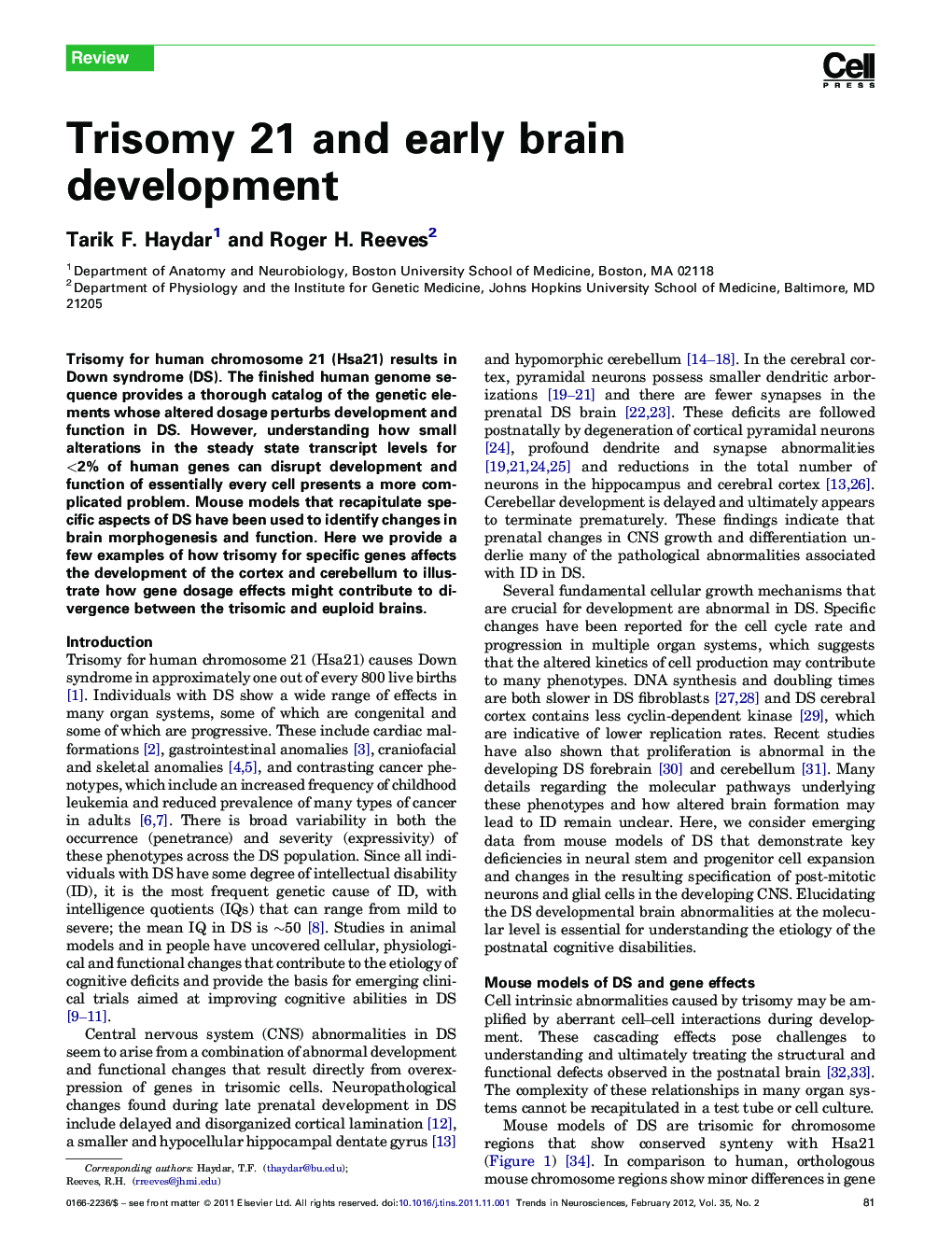 Trisomy 21 and early brain development