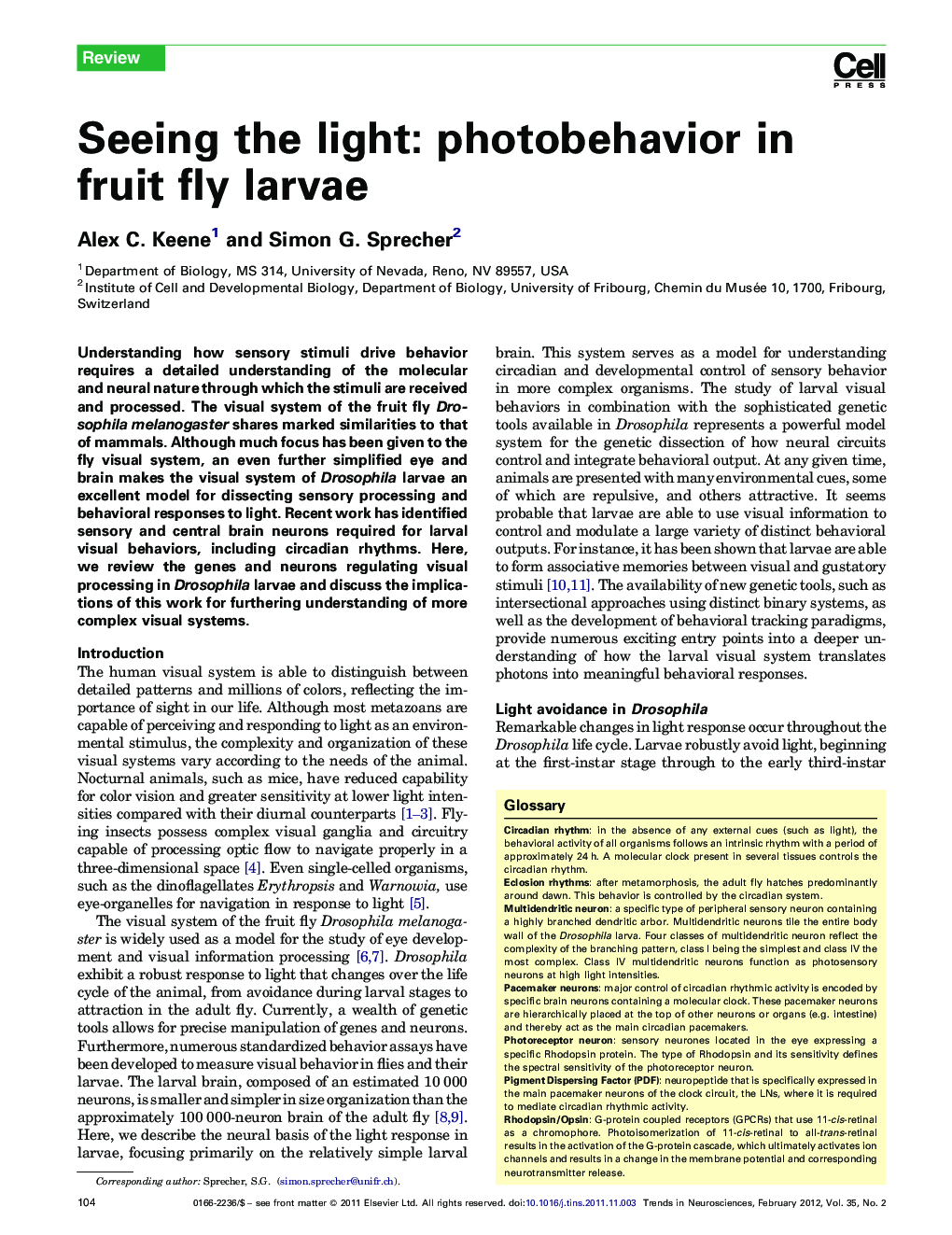 Seeing the light: photobehavior in fruit fly larvae