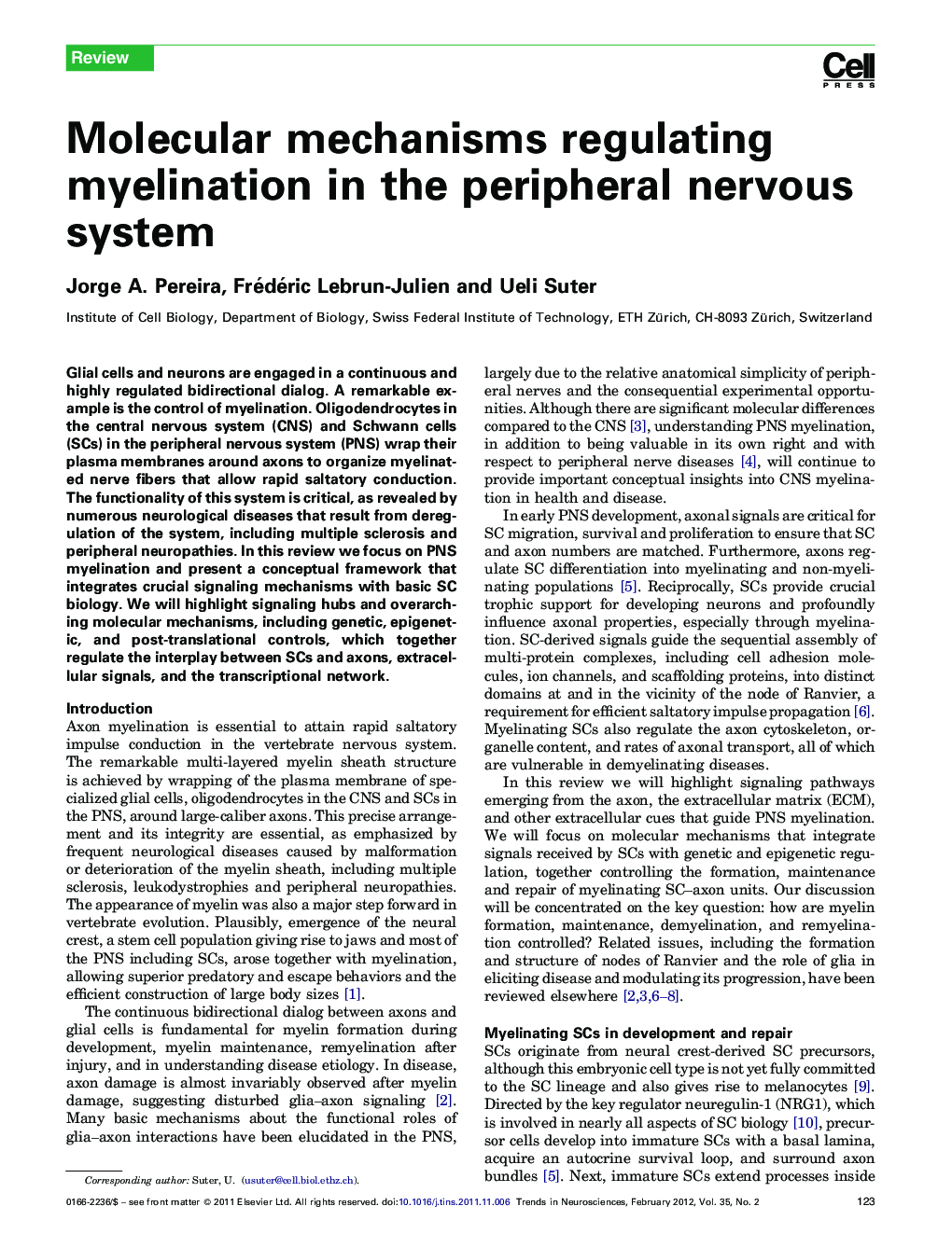 Molecular mechanisms regulating myelination in the peripheral nervous system