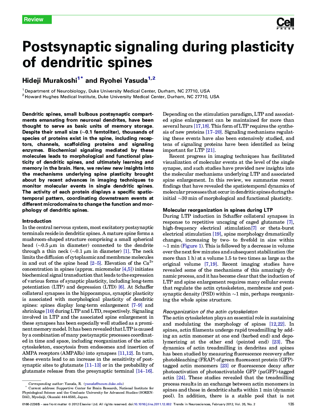 Postsynaptic signaling during plasticity of dendritic spines