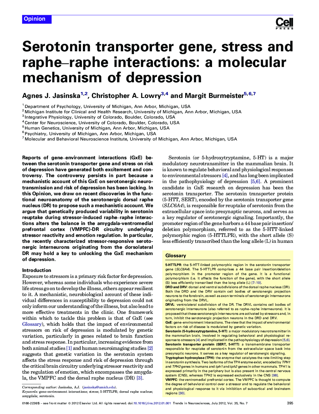 Serotonin transporter gene, stress and raphe–raphe interactions: a molecular mechanism of depression