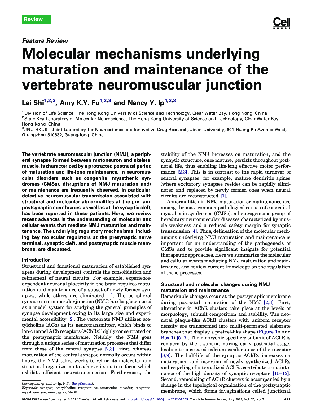 Molecular mechanisms underlying maturation and maintenance of the vertebrate neuromuscular junction