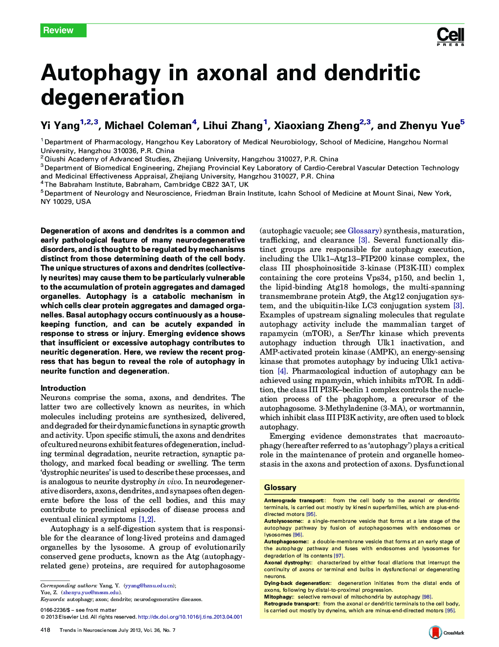Autophagy in axonal and dendritic degeneration