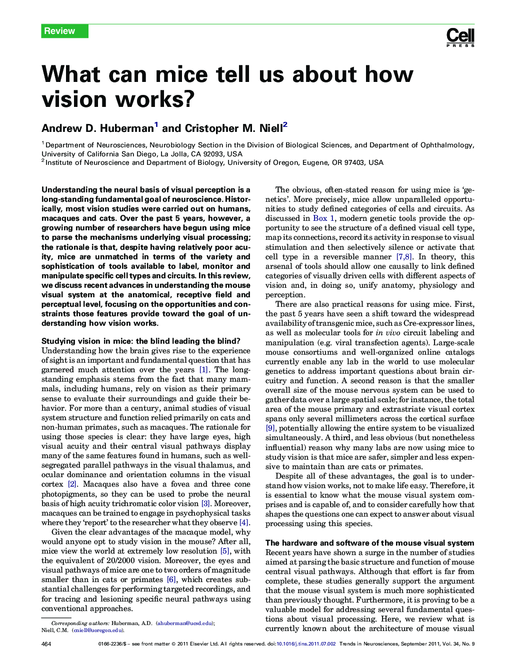 What can mice tell us about how vision works?