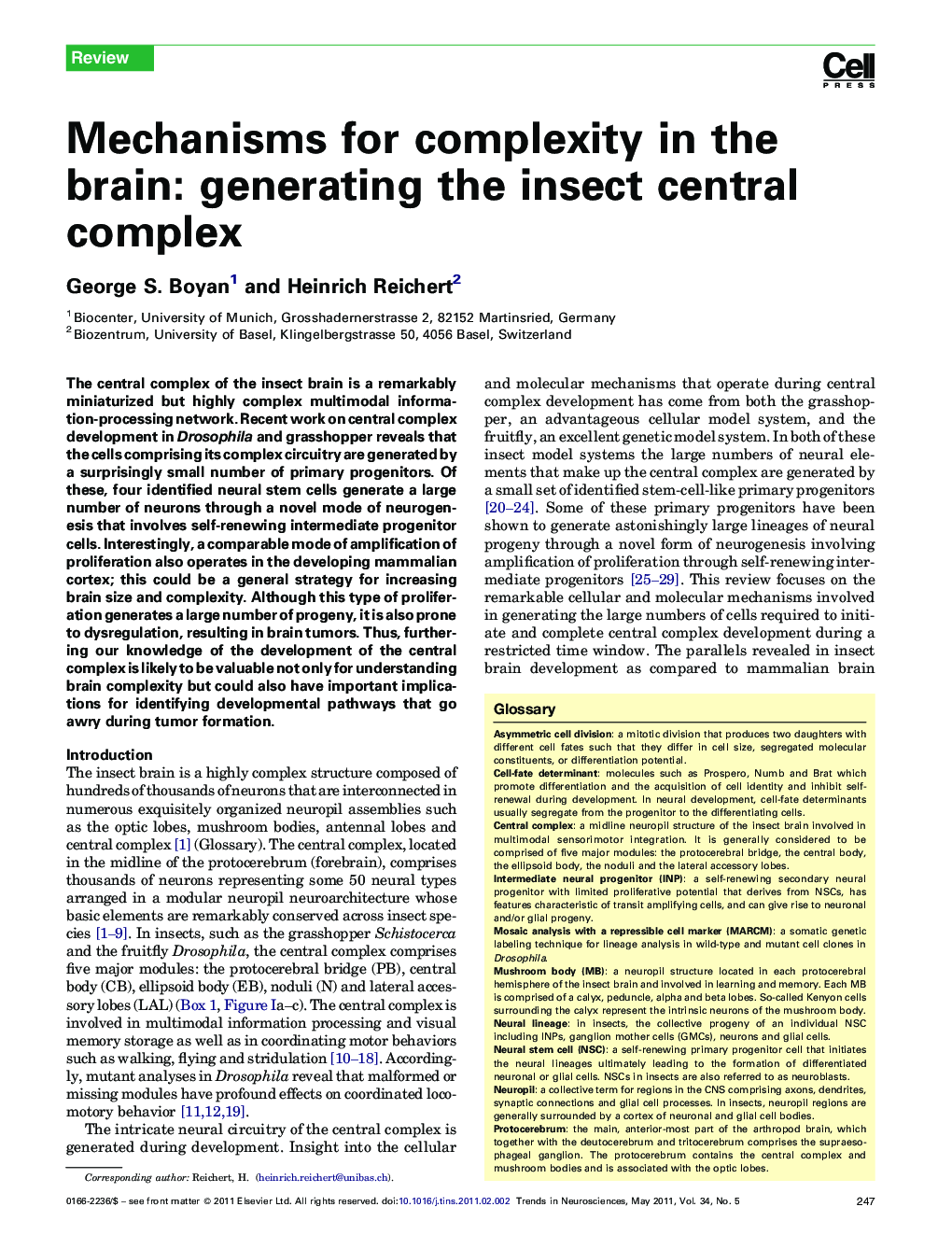 Mechanisms for complexity in the brain: generating the insect central complex