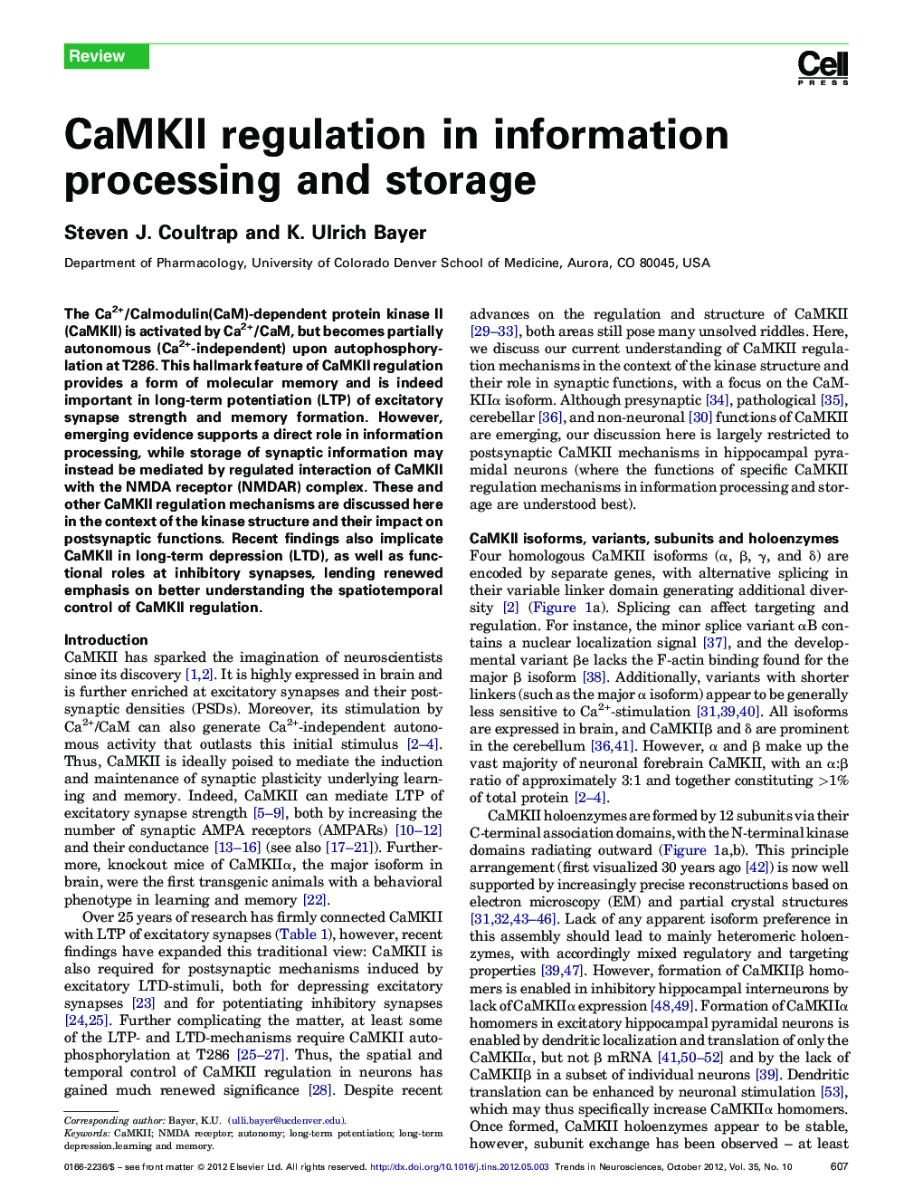 CaMKII regulation in information processing and storage