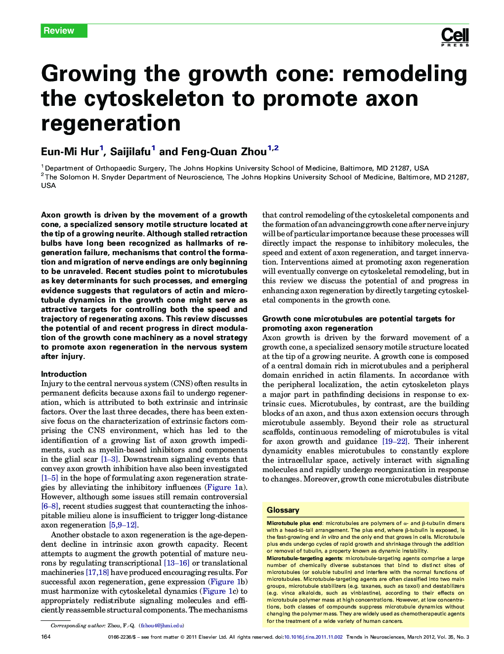 Growing the growth cone: remodeling the cytoskeleton to promote axon regeneration