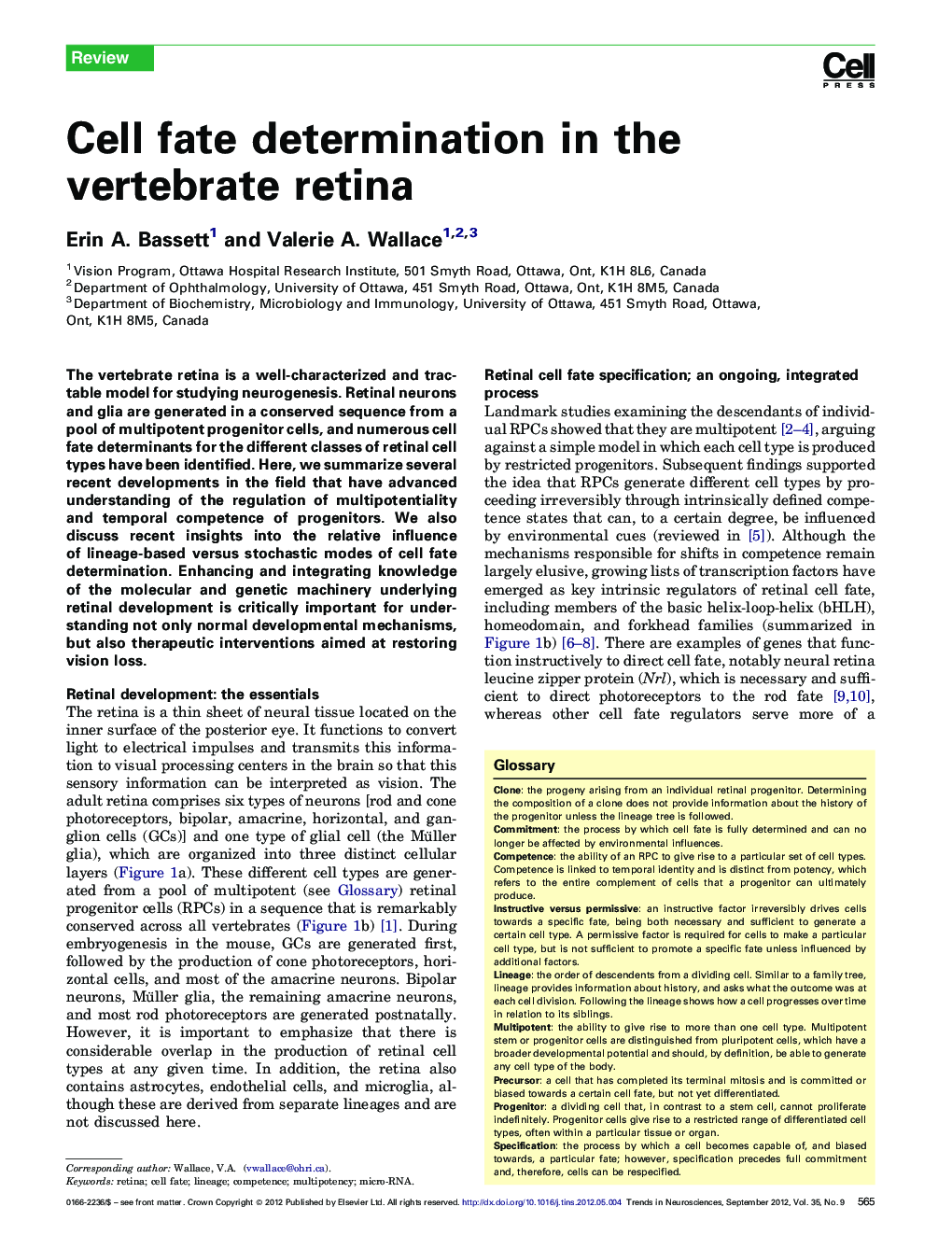 Cell fate determination in the vertebrate retina