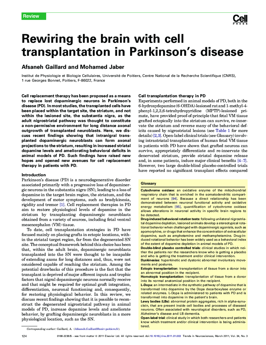 Rewiring the brain with cell transplantation in Parkinson's disease