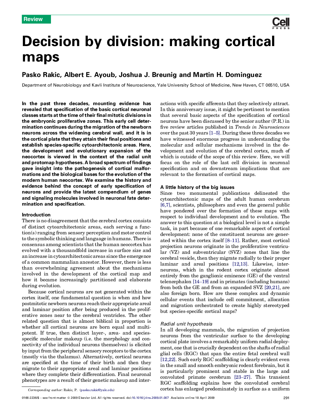 Decision by division: making cortical maps