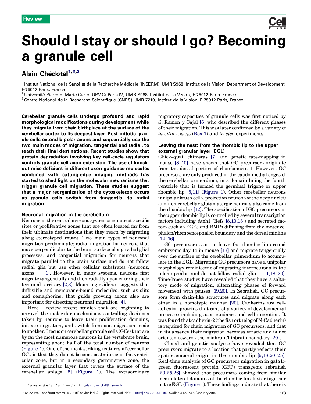 Should I stay or should I go? Becoming a granule cell