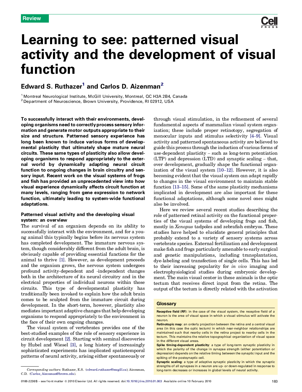 Learning to see: patterned visual activity and the development of visual function