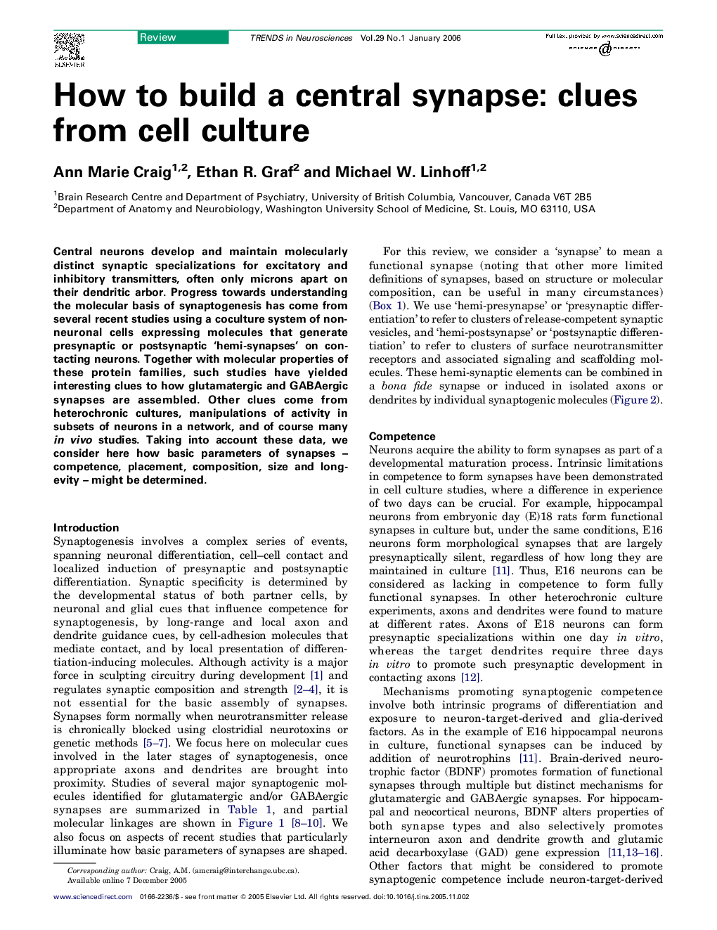 How to build a central synapse: clues from cell culture